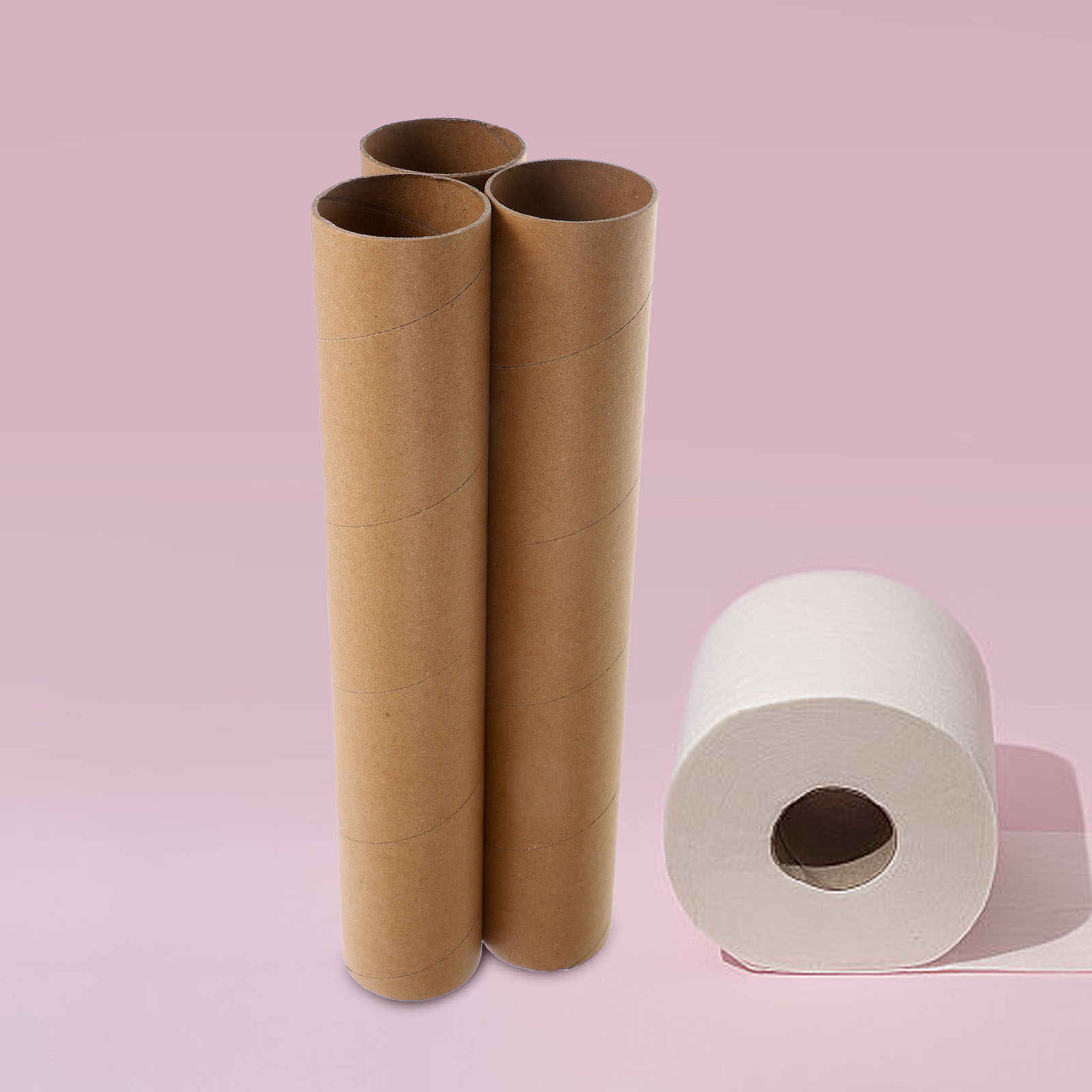 Art Craft Education - 3 Stück leere Papierrollen zum Basteln,