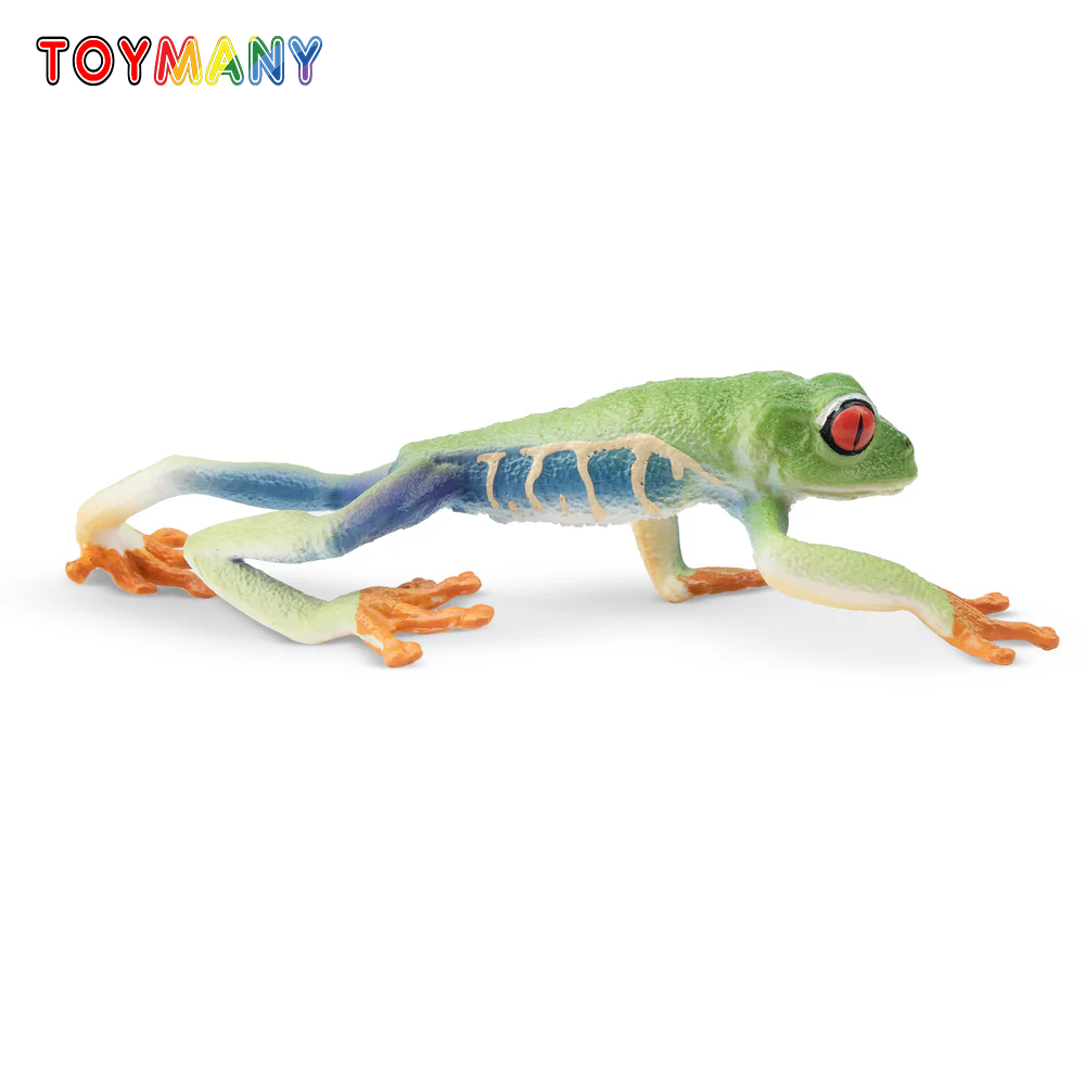 Art Craft Eyes - Toymany Simulation Red-eyed Baum Frosch Reptil