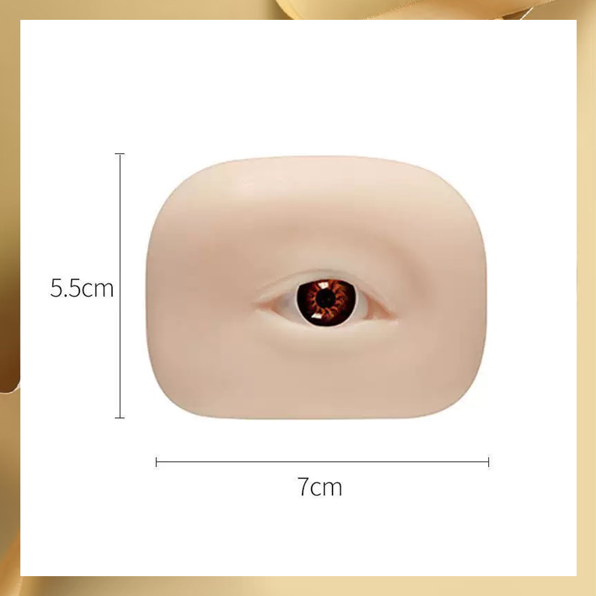 3D-Schaufensterpuppe für falsc – Art Craft Eyes Bewertung und Preis